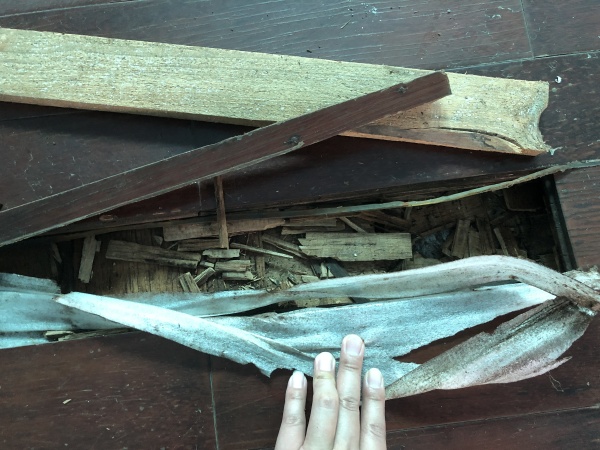 广州羽毛球馆实木地板翻新维修工程案例分享